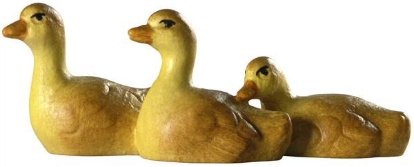 Entenküken 3-er Gruppe Entenküken 3-er Gruppe