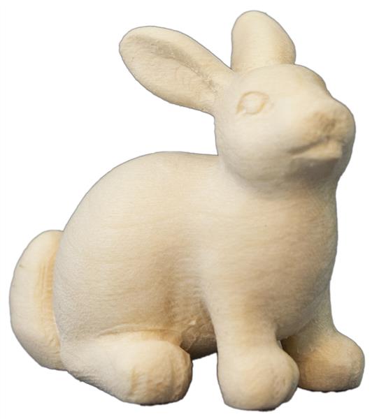 Hase