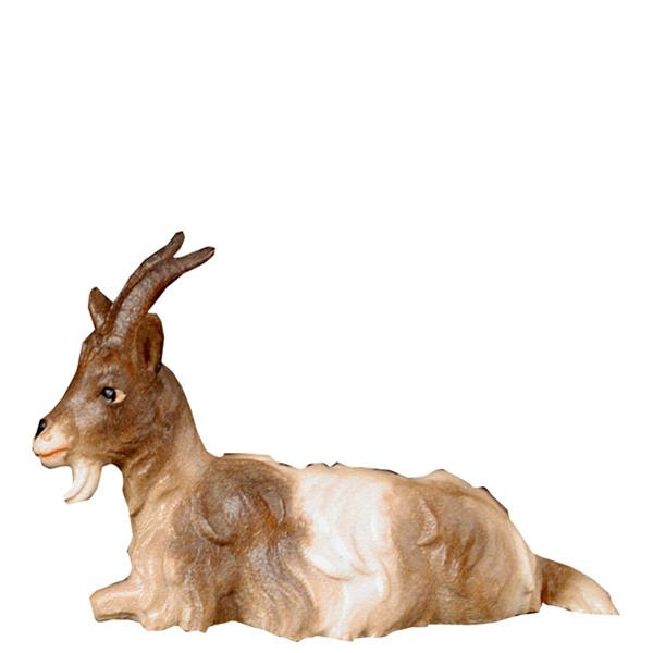 Ziege liegend Ziege liegend