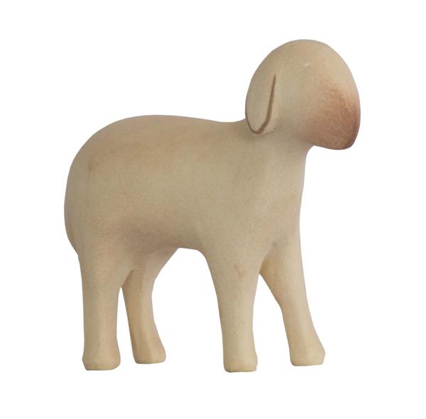Schaf stehend Schaf stehend