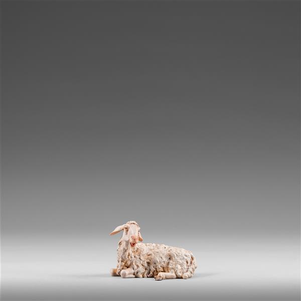 Schaf liegend Schaf liegend