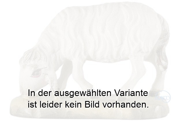 Schaf fressend