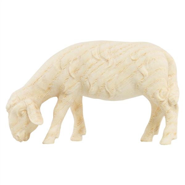 Schaf grasend (Esche) Schaf grasend (Esche)