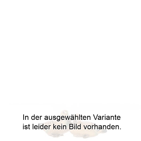 Entengruppe Entengruppe