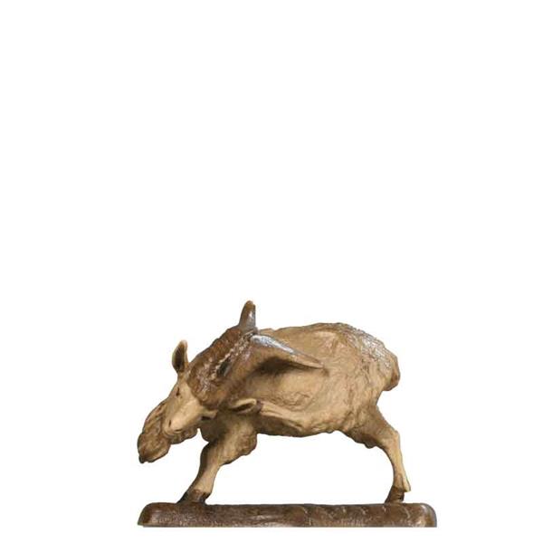 Ziegenbock kratzend Ziegenbock kratzend