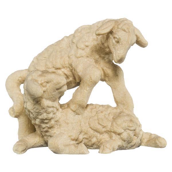 Lammgruppe Lammgruppe