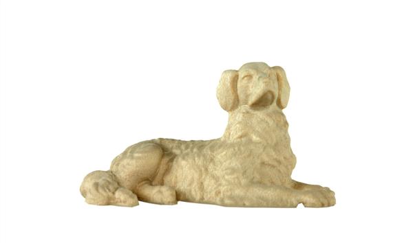 Liegender Hund