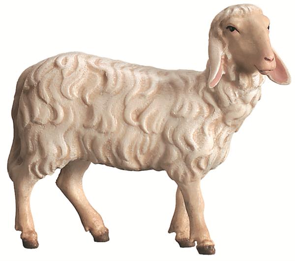 Schaf stehend