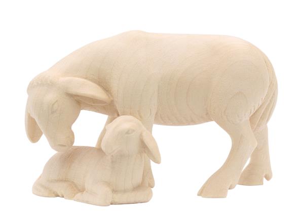 Schaf stehend mit Lamm