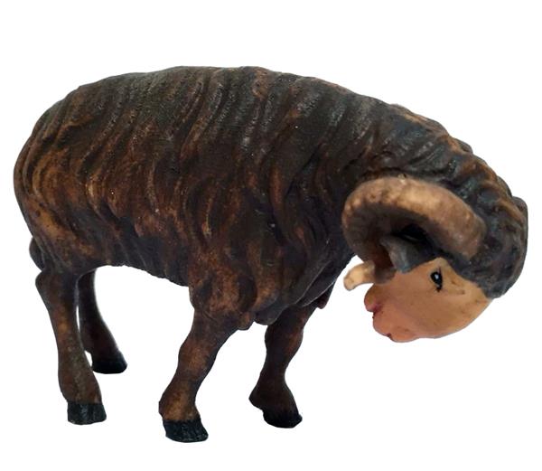 Schafbock schwarz