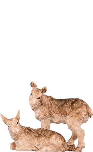 Kitzgruppe Kitzgruppe