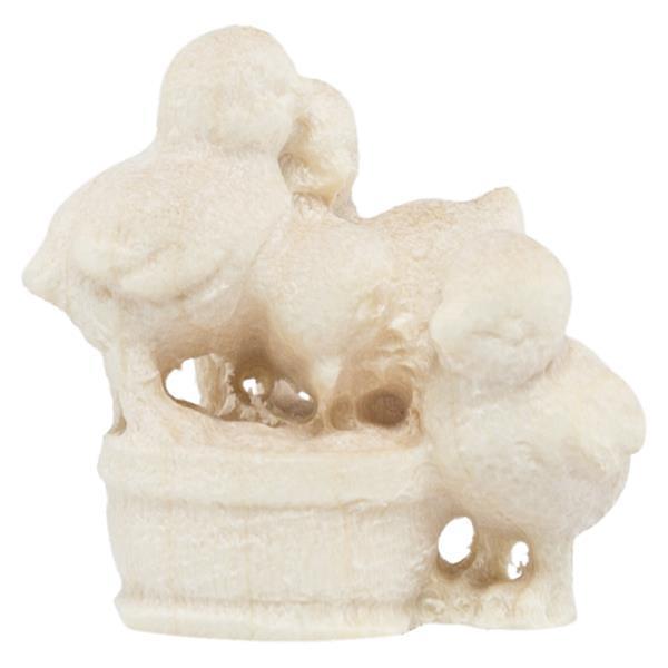 Kükengruppe Kükengruppe