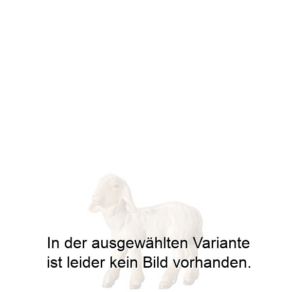 Lamm stehend Lamm stehend