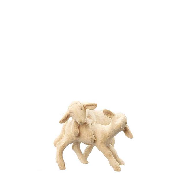 Lammgruppe Lammgruppe