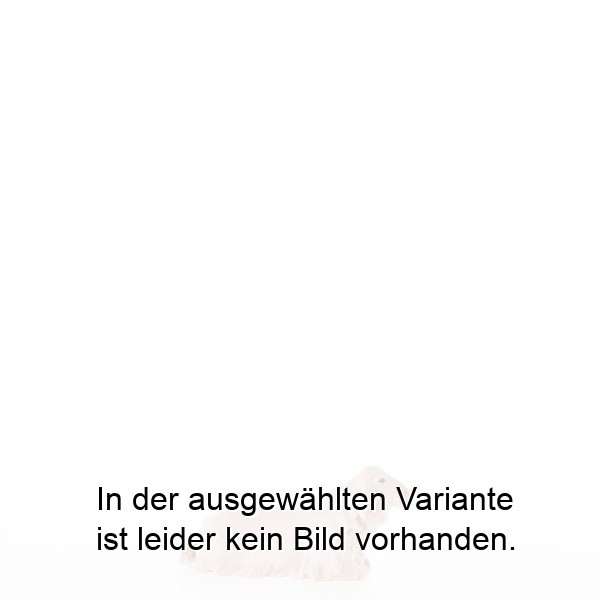 Lamm liegend