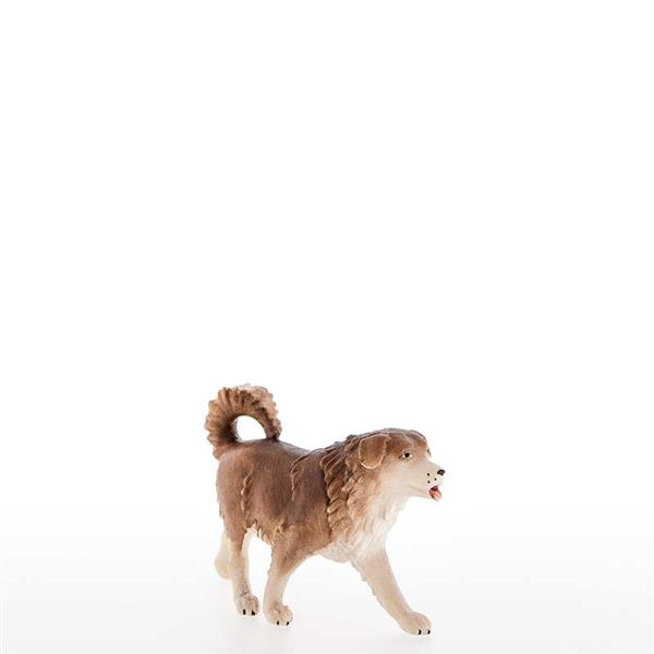 Schäferhund