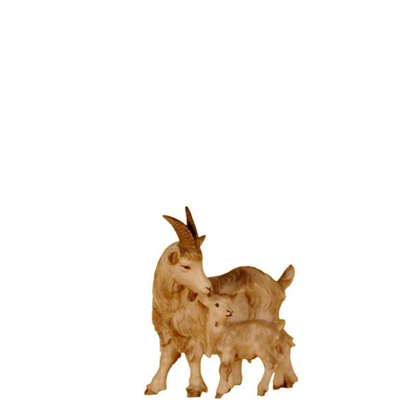 Ziege mit Kitz Ziege mit Kitz