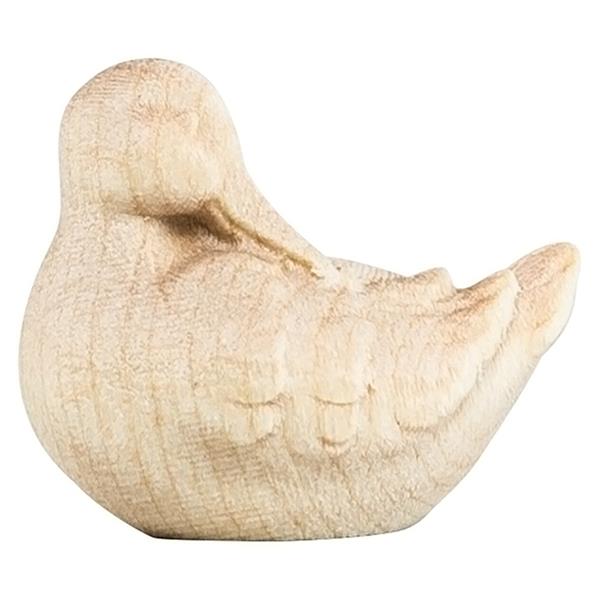 Erpel schlafend Erpel schlafend