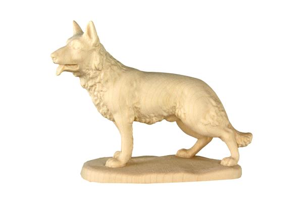 Hund stehend