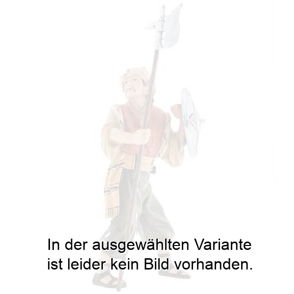 Soldat mit Hellebarde und Schild Soldat mit Hellebarde und Schild