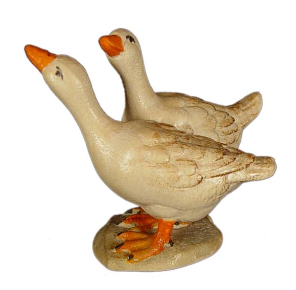 Gänsegruppe Gänsegruppe