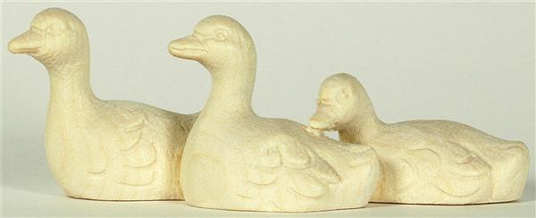 Schwanjungen 3-er Gruppe Schwanjungen 3-er Gruppe