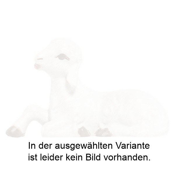 Lamm liegend Lamm liegend