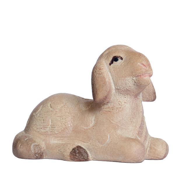 Lamm liegend