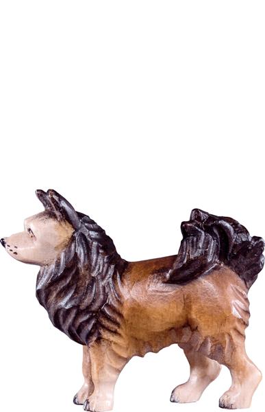 Spitzhund