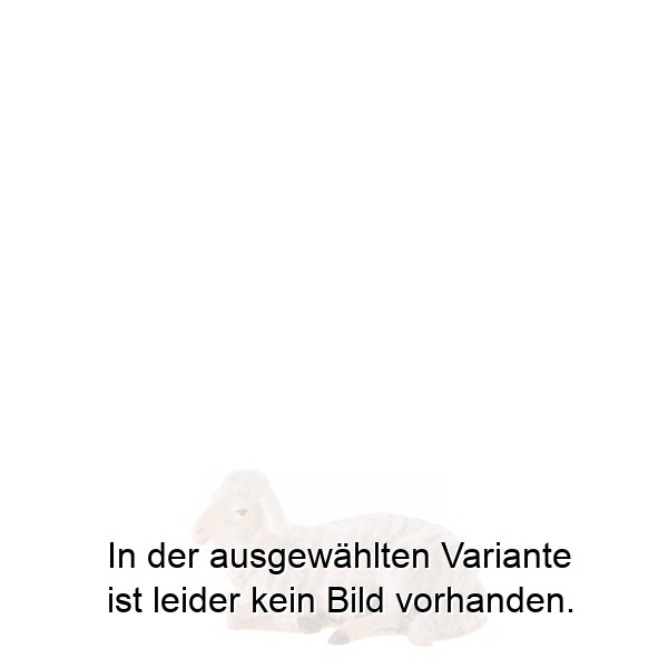 Schaf liegend Schaf liegend