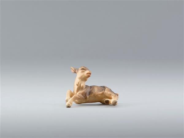 Kitz für Arm Kitz für Arm