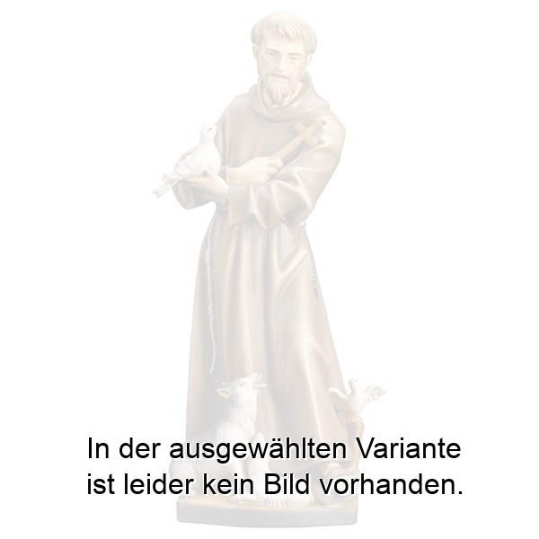 Hl. Franziskus von Assisi mit Tiere Hl. Franziskus von Assisi mit Tiere