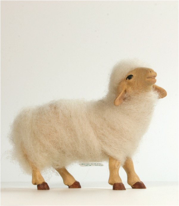 Wollschaf stehend Wollschaf stehend