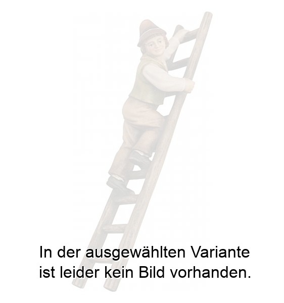 Hirt auf Leiter Hirt auf Leiter