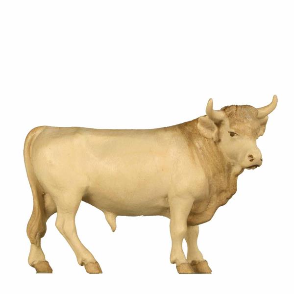 Ochs stehend Ochs stehend