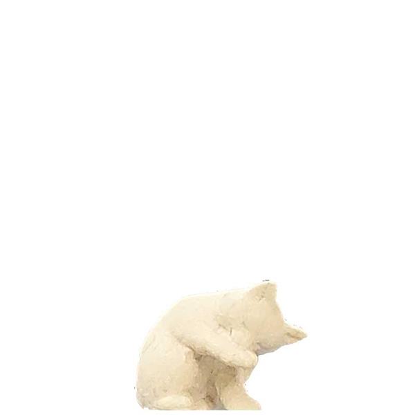 Kätzchen, das sich die Pfote leckt Kätzchen, das sich die Pfote leckt