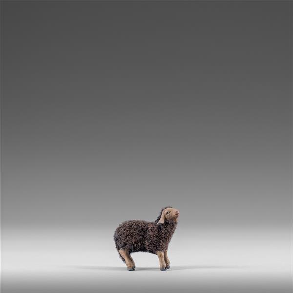 Lamm mit Wolle schwarz Lamm mit Wolle schwarz