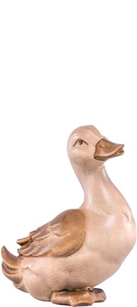 Ente Artis grün
