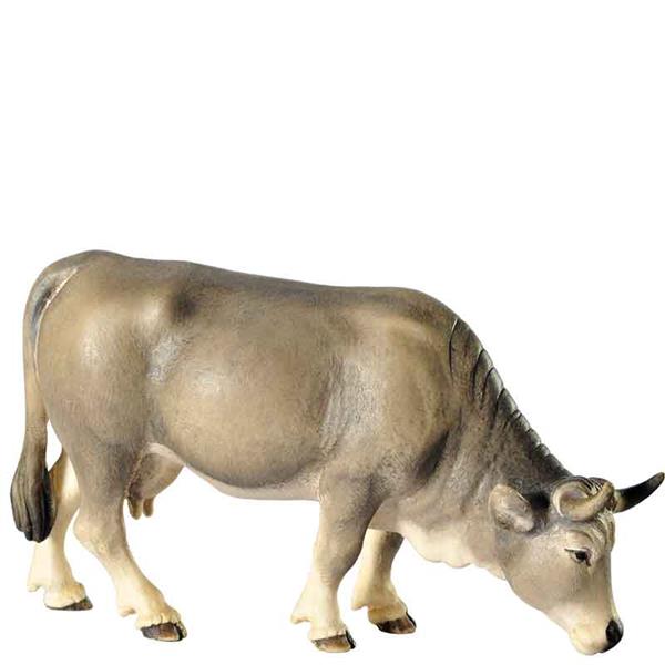 Kuh grasend grau Kuh grasend grau