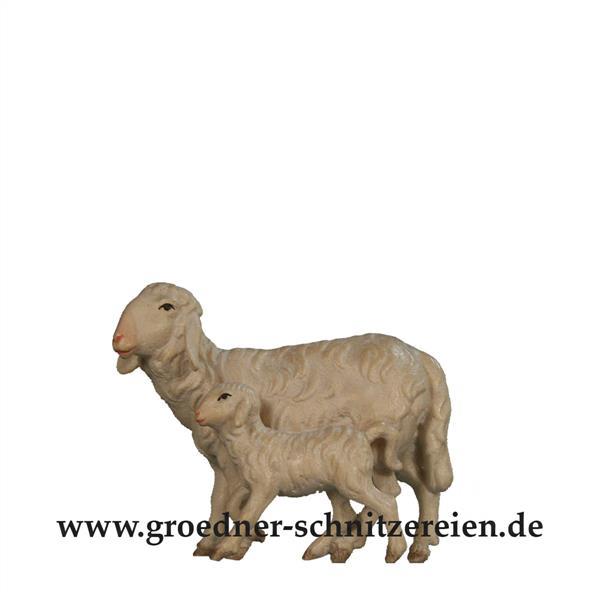 Schafgruppe stehend Schafgruppe stehend