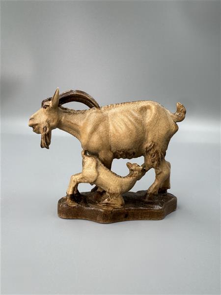 Ziege mit Böcklein Ziege mit Böcklein