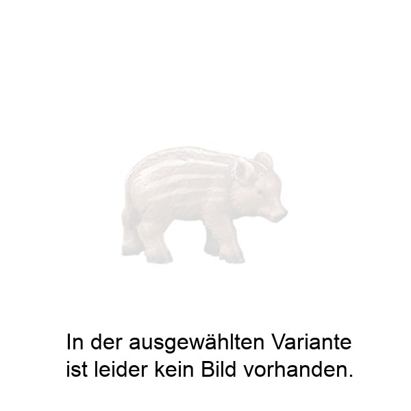 Frischling nach unten schauend Frischling nach unten schauend