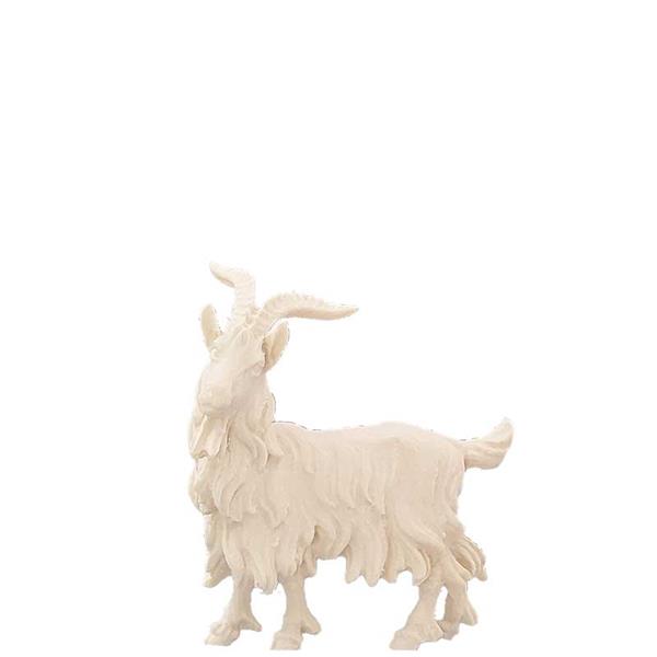 Ziegenbock Ziegenbock