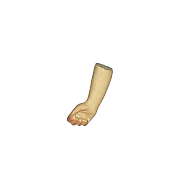 Rechte, geschlossene Hand Rechte, geschlossene Hand