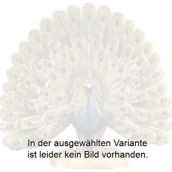 Pfau radschlagend Pfau radschlagend
