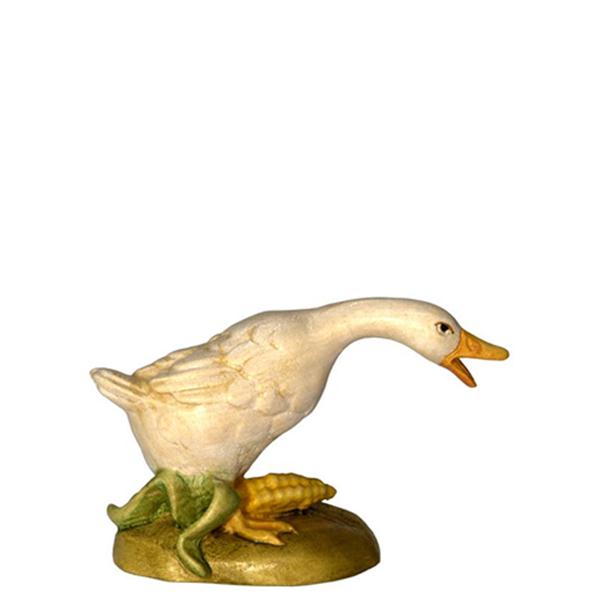 Gans Kopf nach vorne