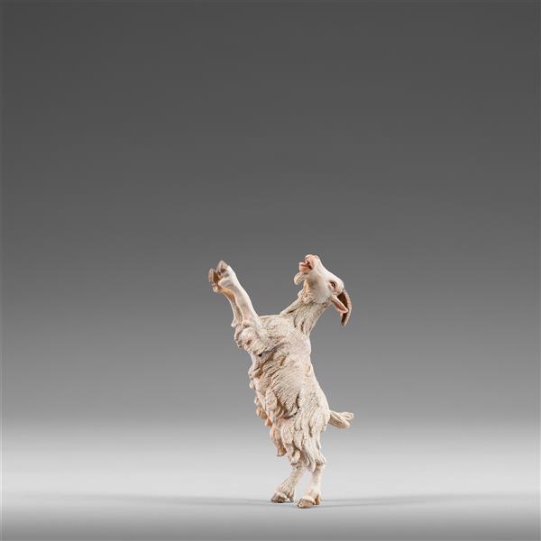 Ziege für Baum Ziege für Baum