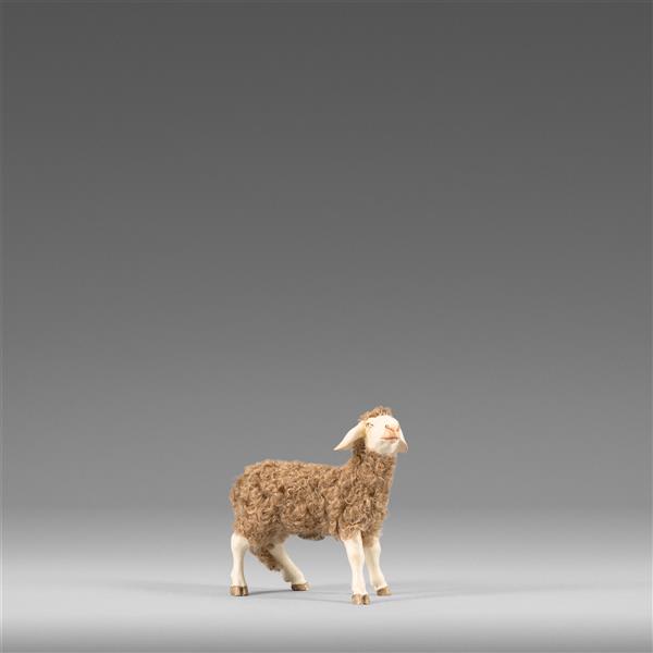 Schaf mit Wolle braun