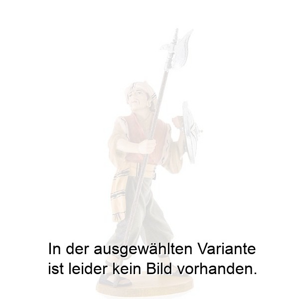 Soldat mit Hellebarde und Schild Soldat mit Hellebarde und Schild