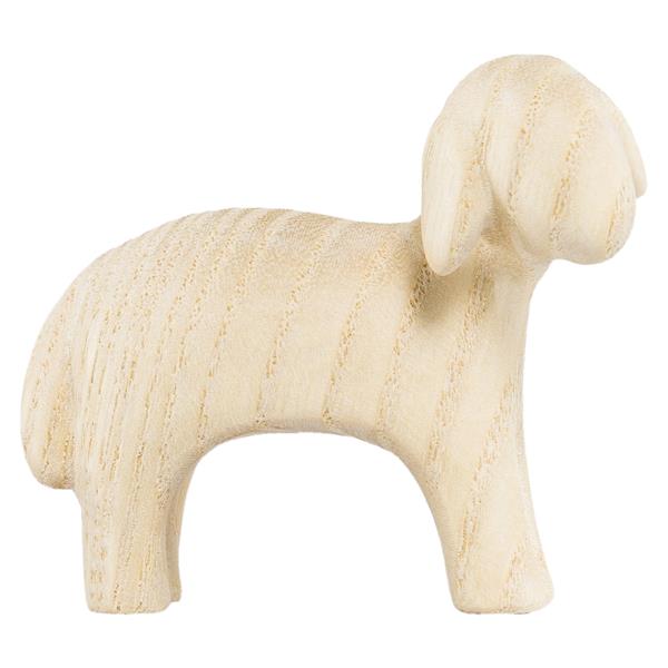 Schaf rechtsschauend Schaf rechtsschauend